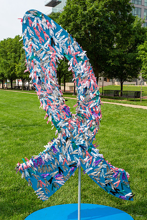 BT5K_CMH_20190601_4_100